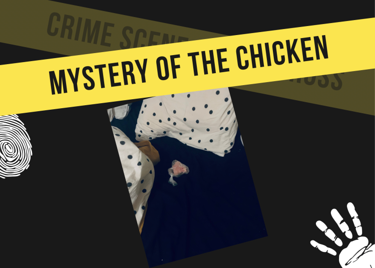 Het mysterie van de verdwenen kip